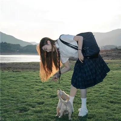 红龙